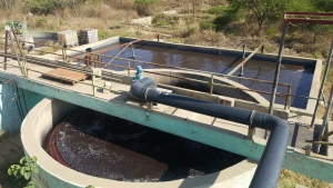 Strategic Chemical Management